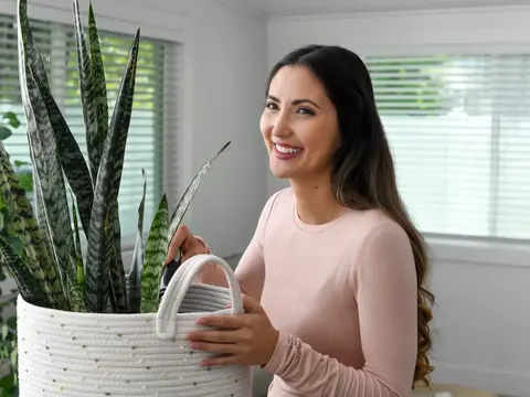 A woman smiling and holding a snake plant in a white basket.