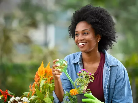 A smiling woman in a denim jacket and green gloves watering plants in a garden.