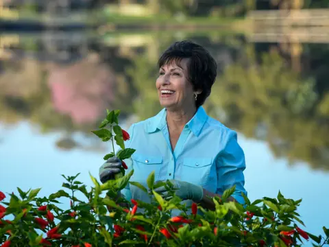 A smiling woman in a blue shirt and green gloves holds a red pepper plant by a lake.