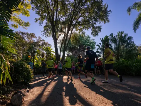 Runners in colorful athletic wear racing through a lush tropical pathway at Disney's Animal Kingdom during a runDisney marathon event at sunrise