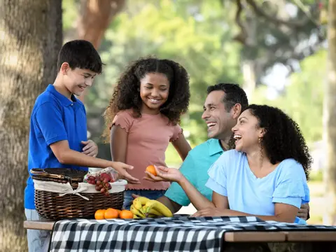 Family of four sharing a picnic with fruit and bananas on a sunny day.