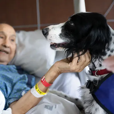 An elderly man in a hospital bed interacts warmly with a therapy dog, both smiling.