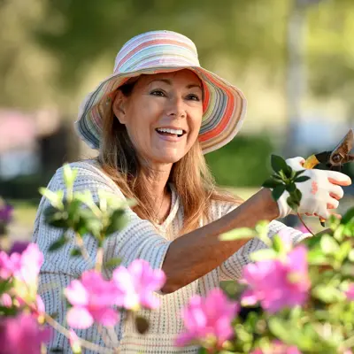 Smiling woman in a sun hat pruning pink flowers in a garden on a bright sunny day.